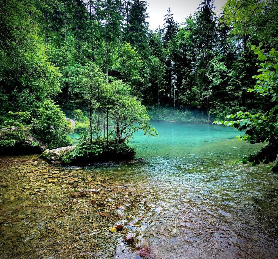 Вилла Skalca Камнишка-Бистрица Экстерьер фото